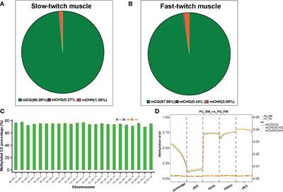 The Landscape of DNA Methylation Generates Insight Into Epigenetic Regulation of Differences Between Slow-Twitch and Fast-Twitch Muscles in Pseudocaranx dentex